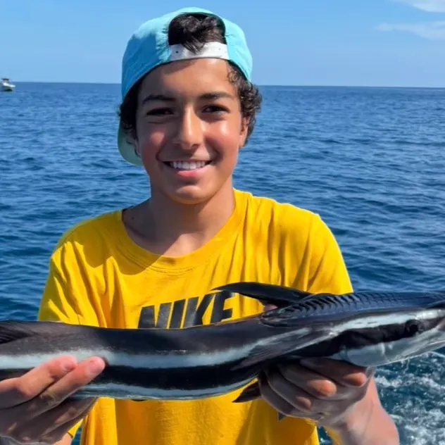 Common remora caught on Fishbrain