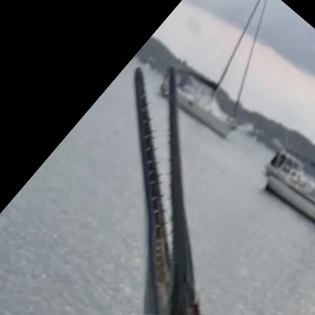 The most recent Hound needlefish catches on Fishbrain