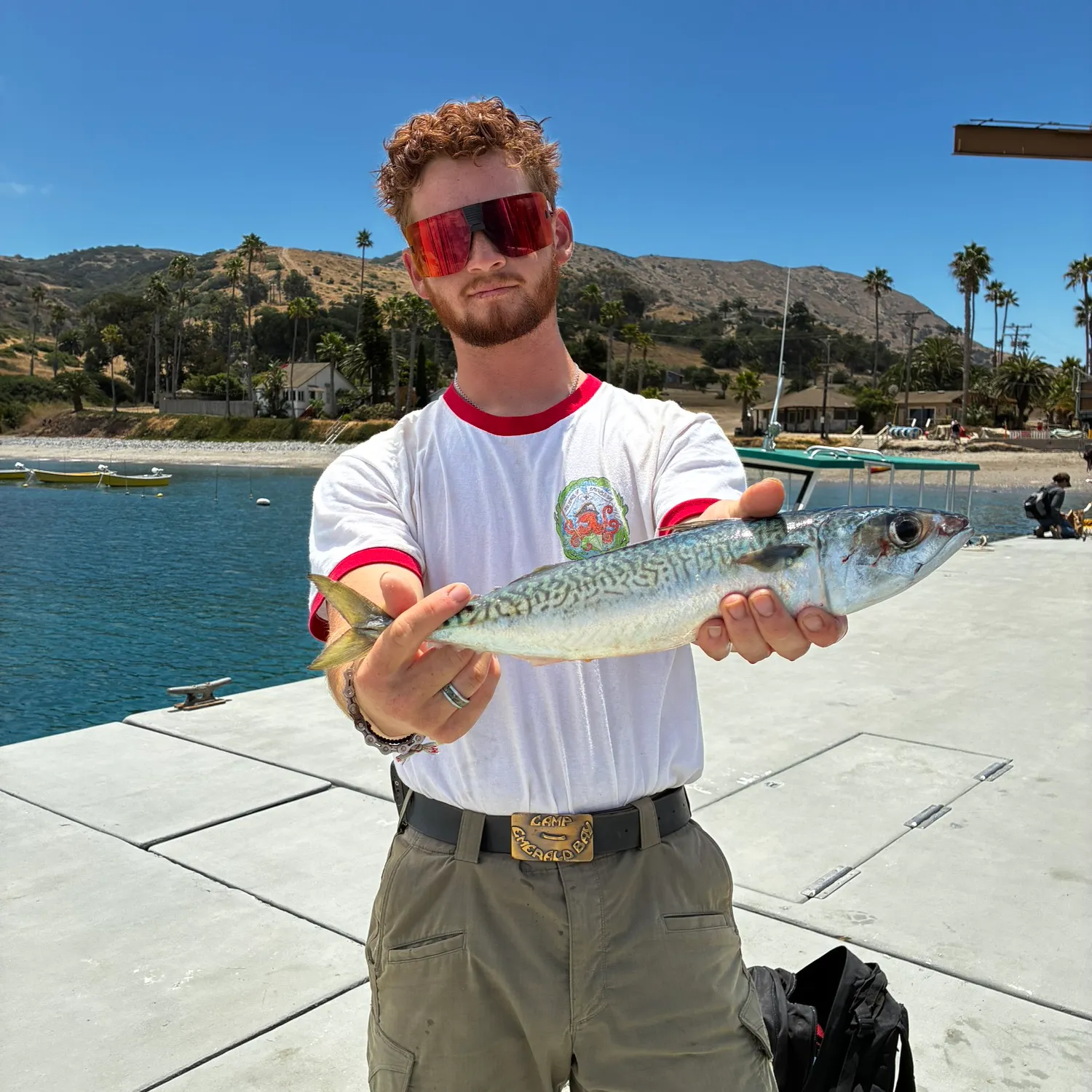 The most recent Blue mackerel catches on Fishbrain