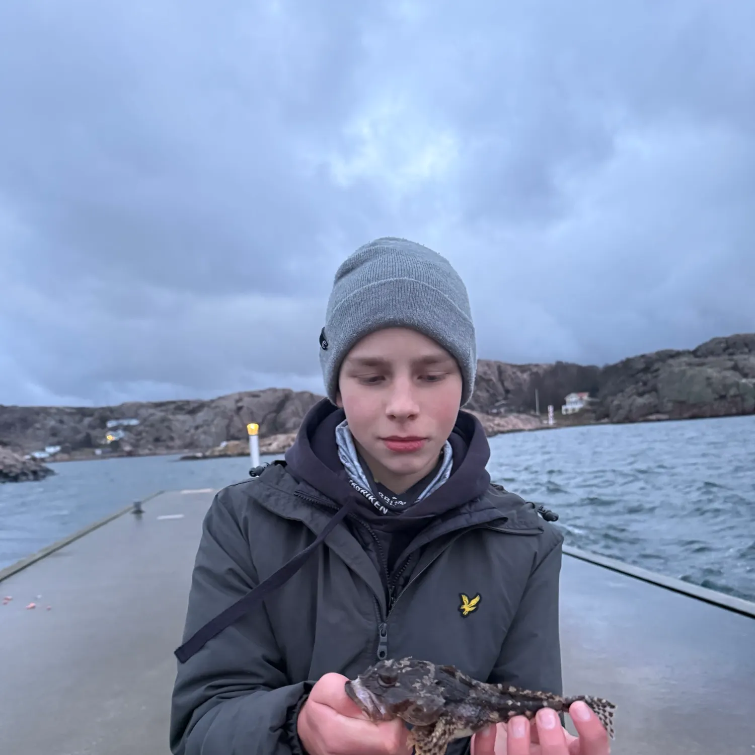 The most recent Shorthorn sculpin catches on Fishbrain