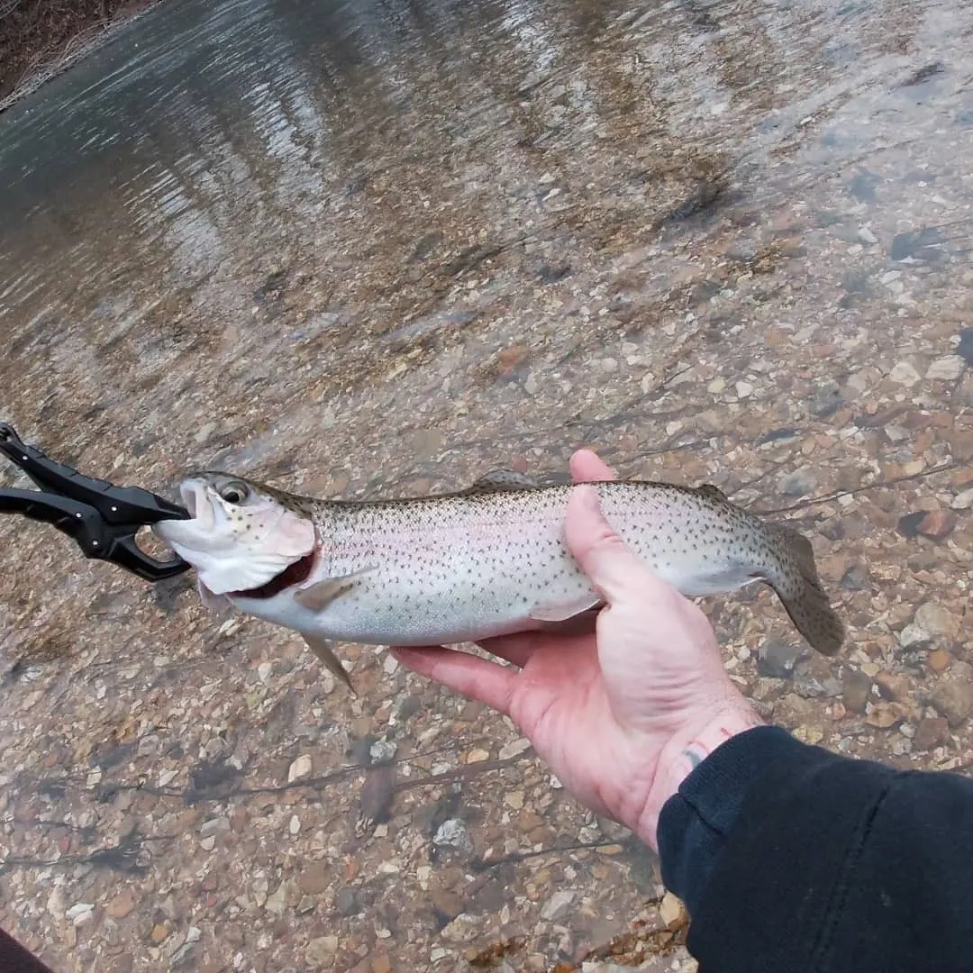 Post image from KayakSoldier