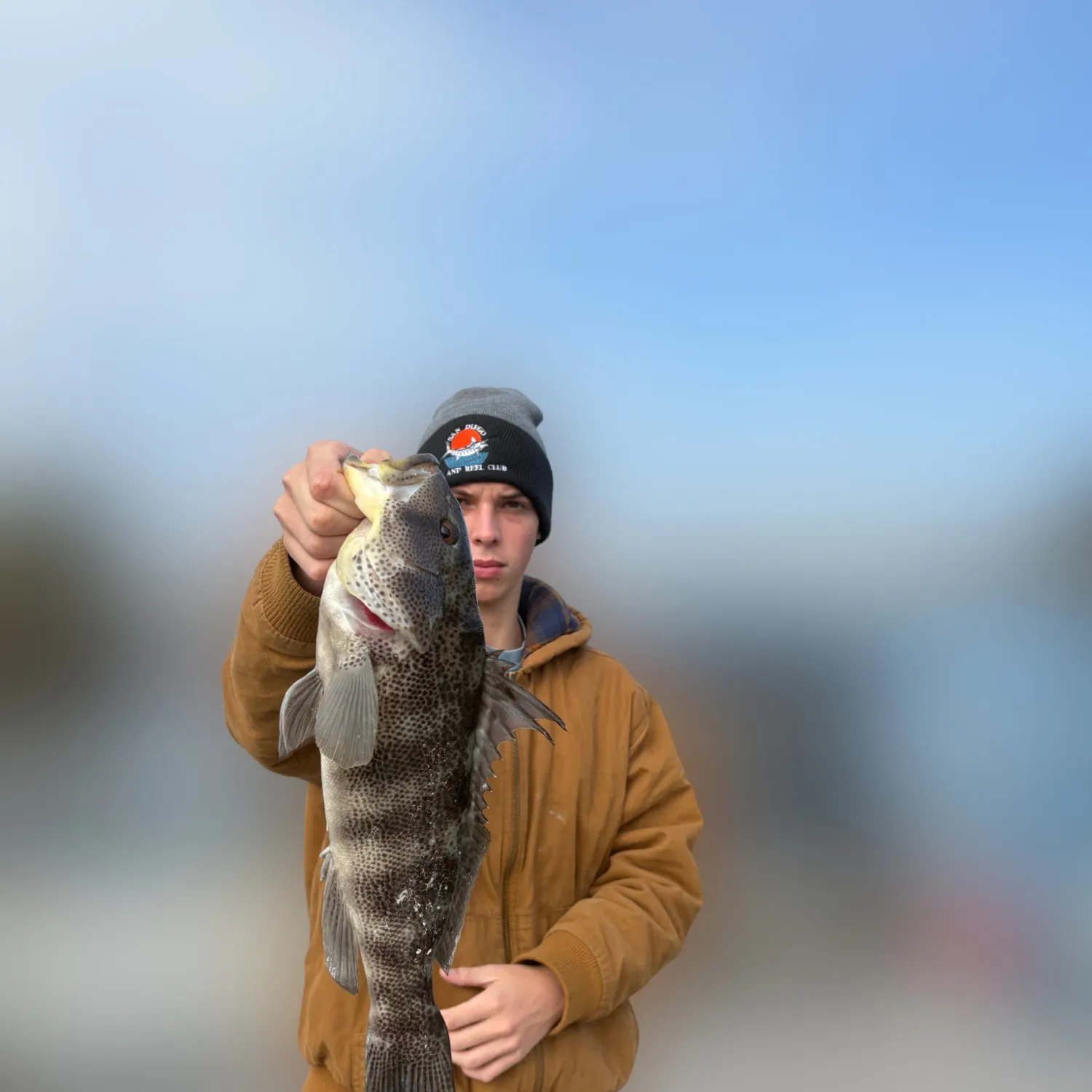 The most recent Spotted sand bass catches on Fishbrain