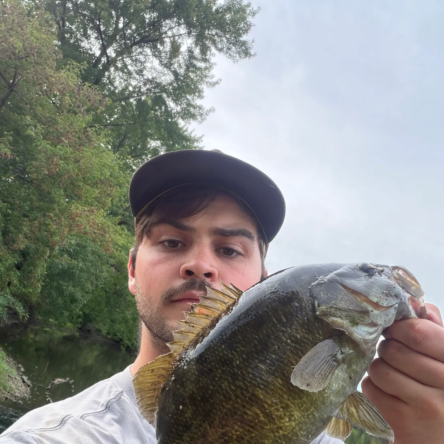 Smallmouth bass caught on Fishbrain