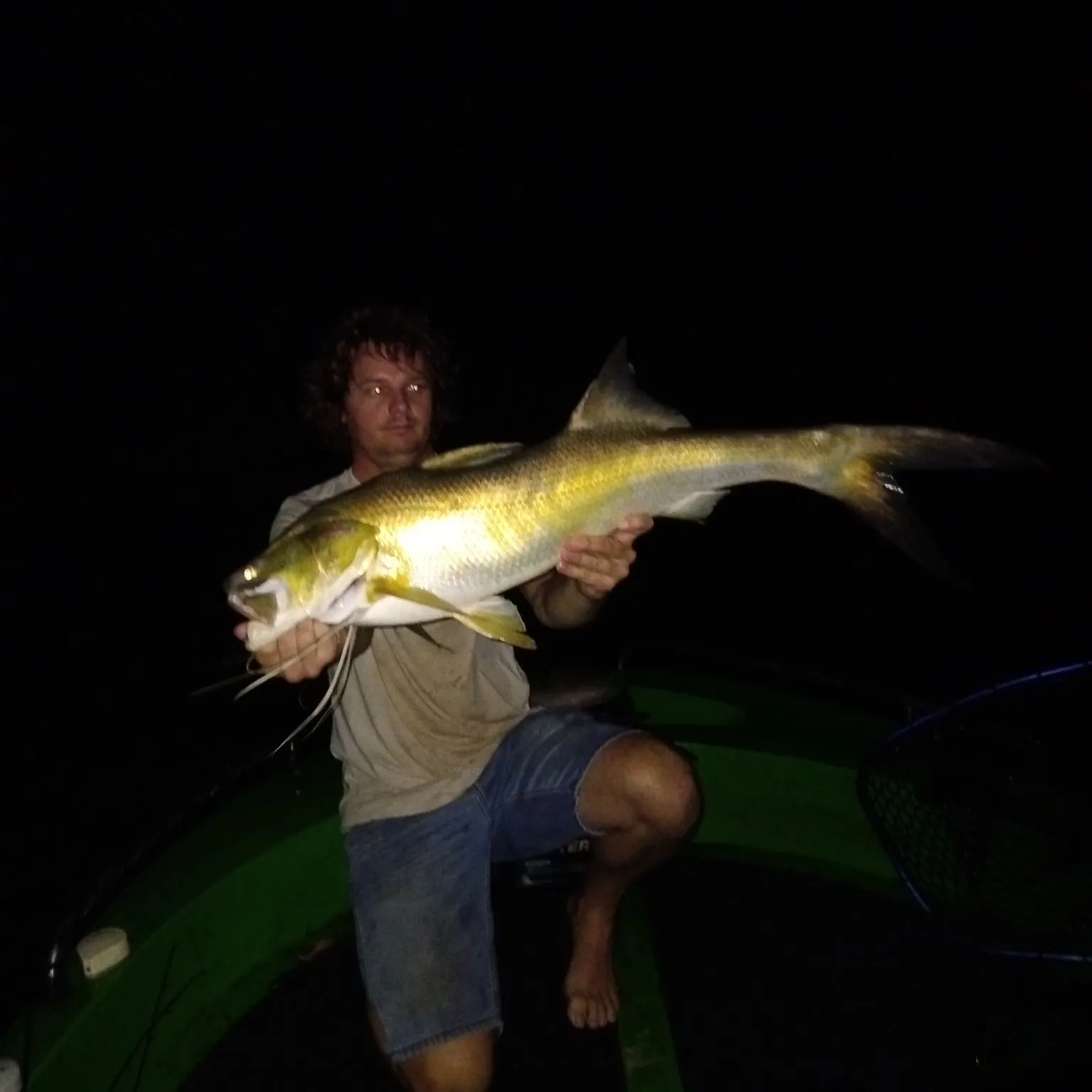 The most recent King threadfin catches on Fishbrain