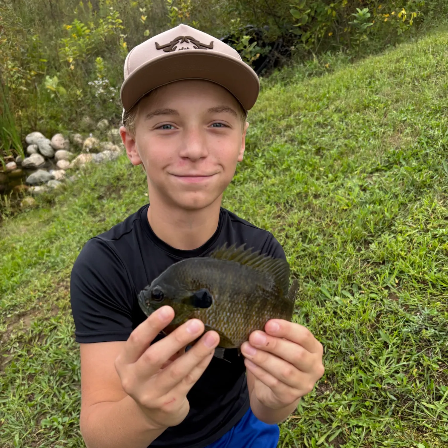 Bluegill caught on Fishbrain