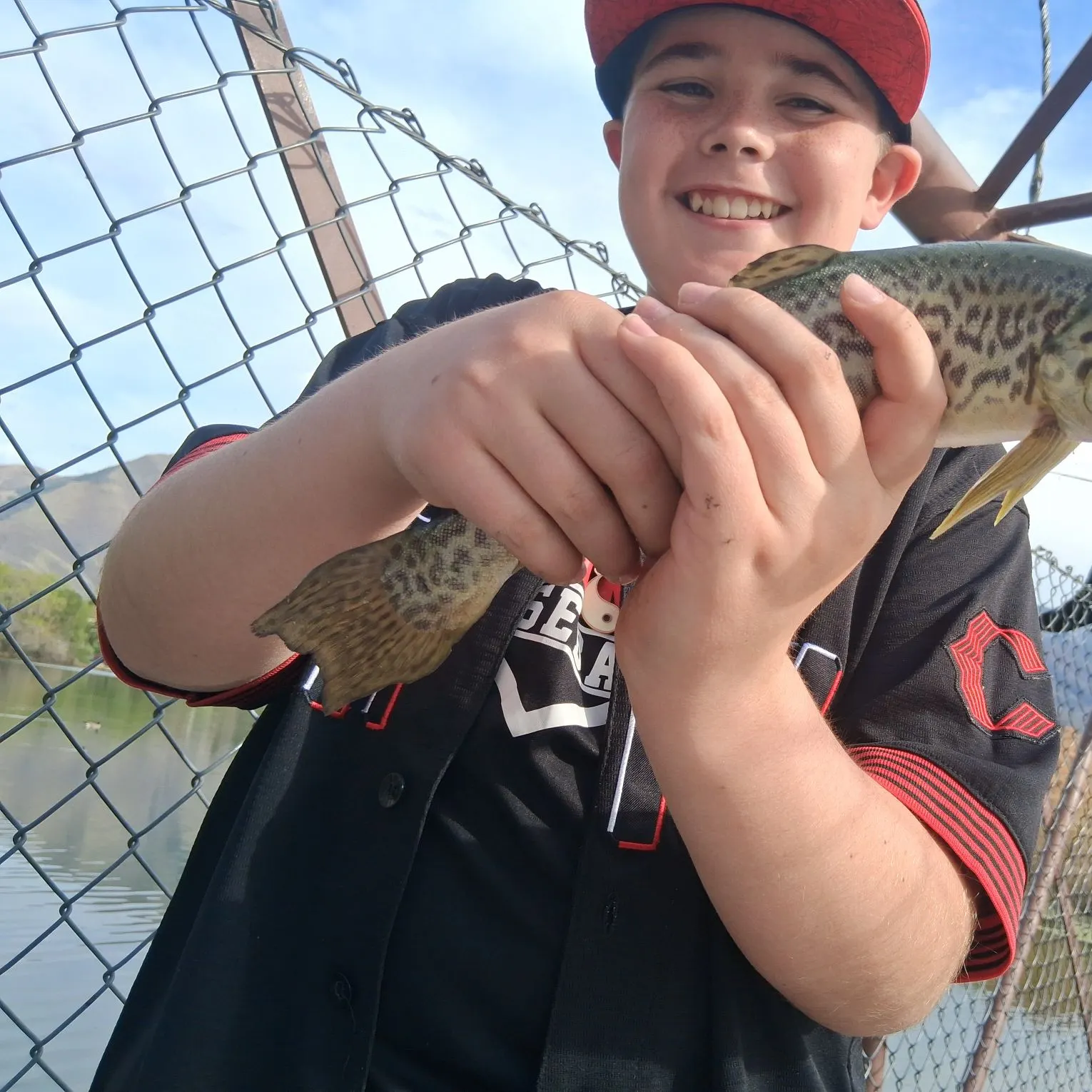 The most recent Tiger trout catches on Fishbrain