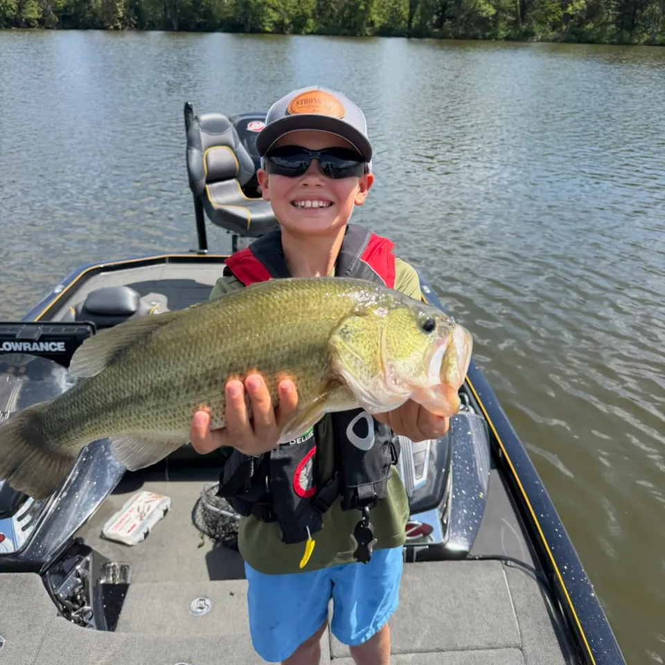 Largemouth bass caught on Fishbrain