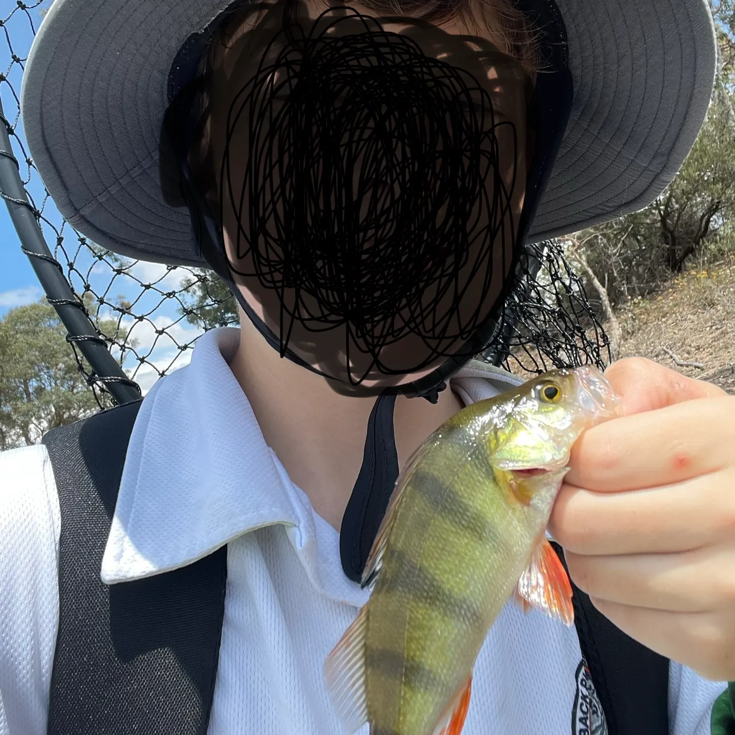 The most recent European perch catches on Fishbrain