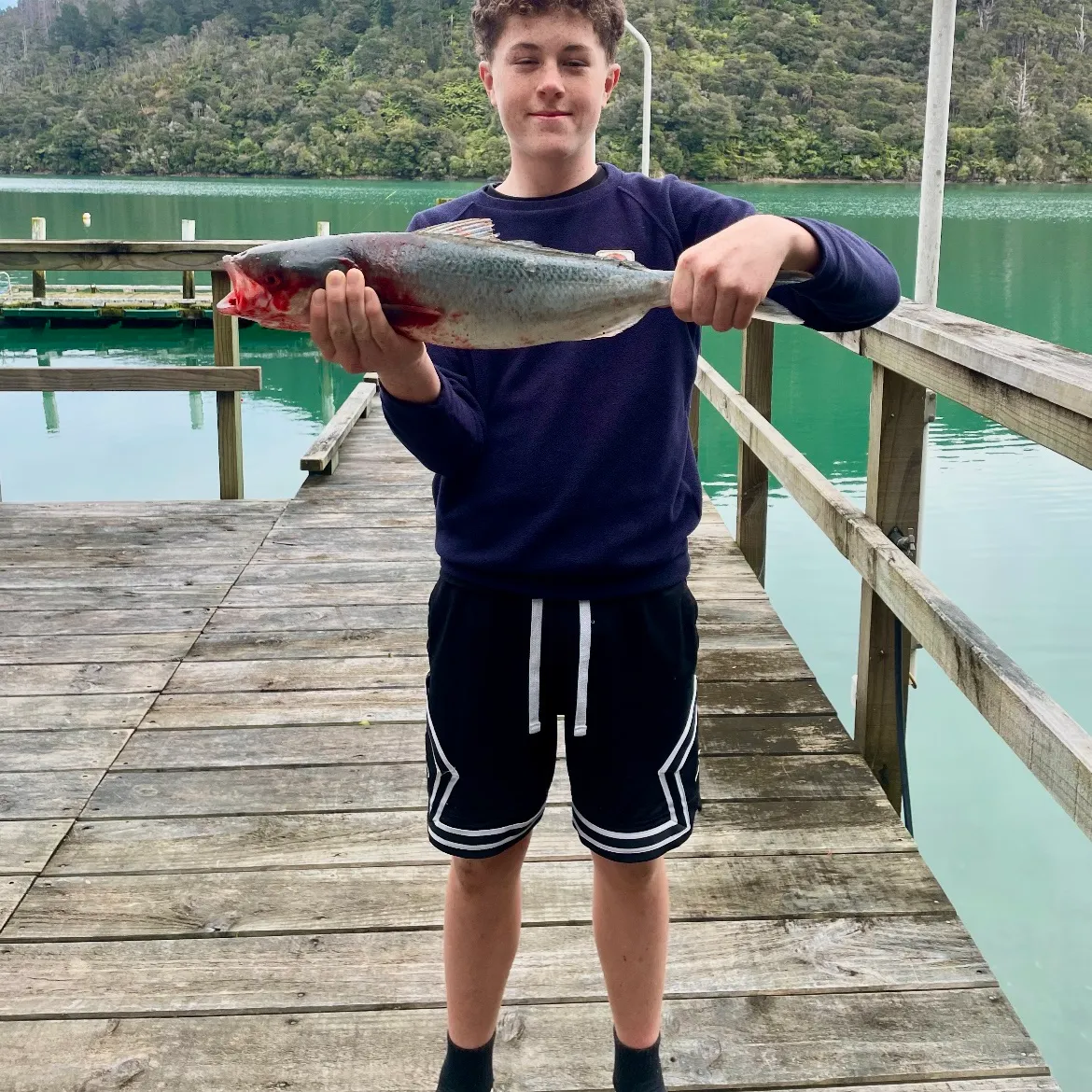 The most recent Eastern Australian salmon catches on Fishbrain
