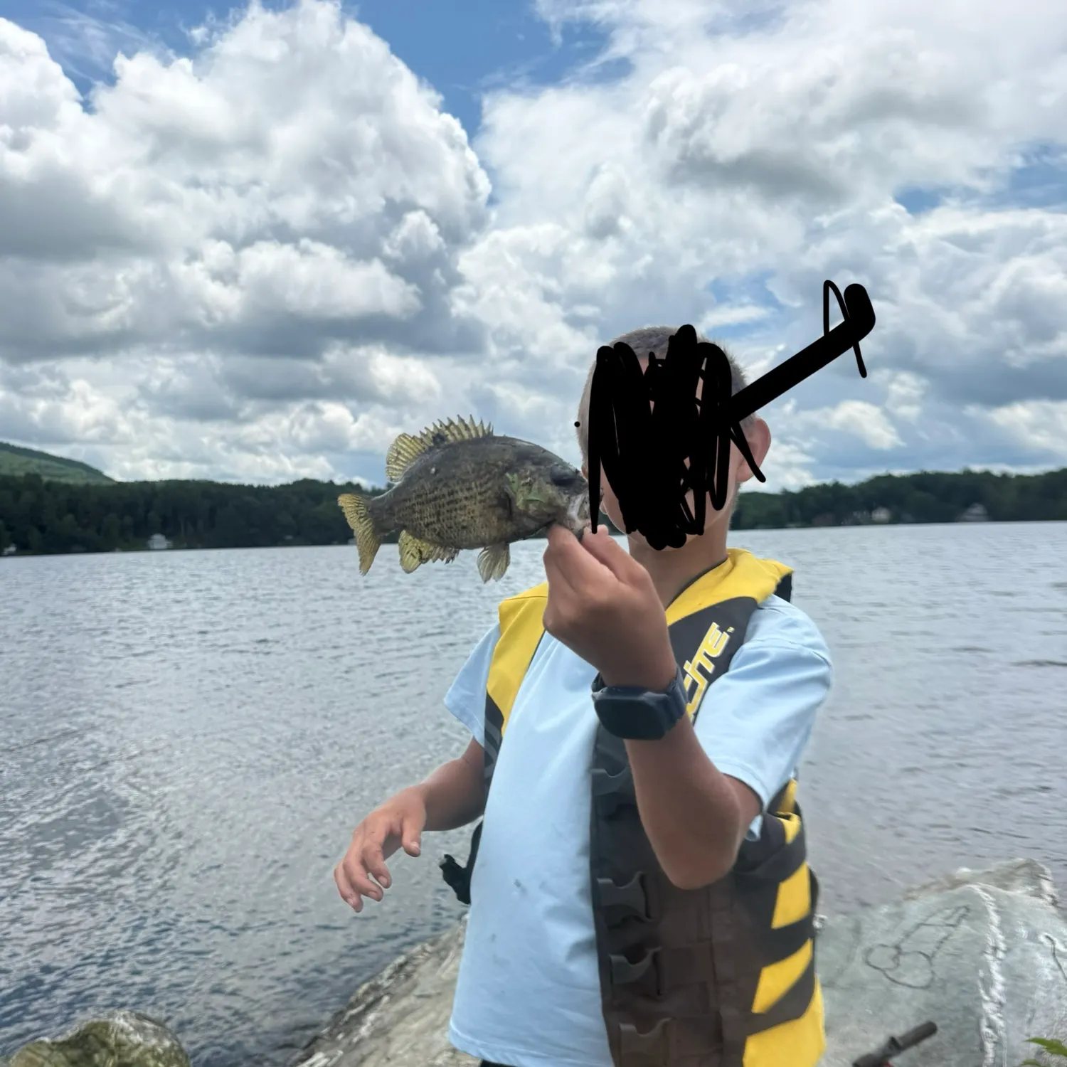 The most recent Rock bass catches on Fishbrain