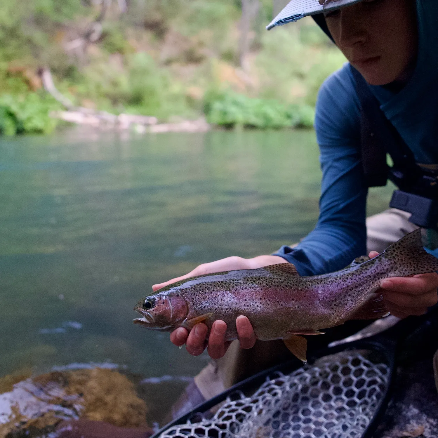 The most recent Rainbow trout catches on Fishbrain