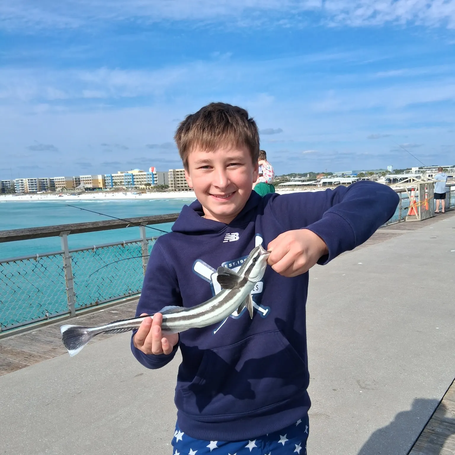 The most recent Live sharksucker catches on Fishbrain