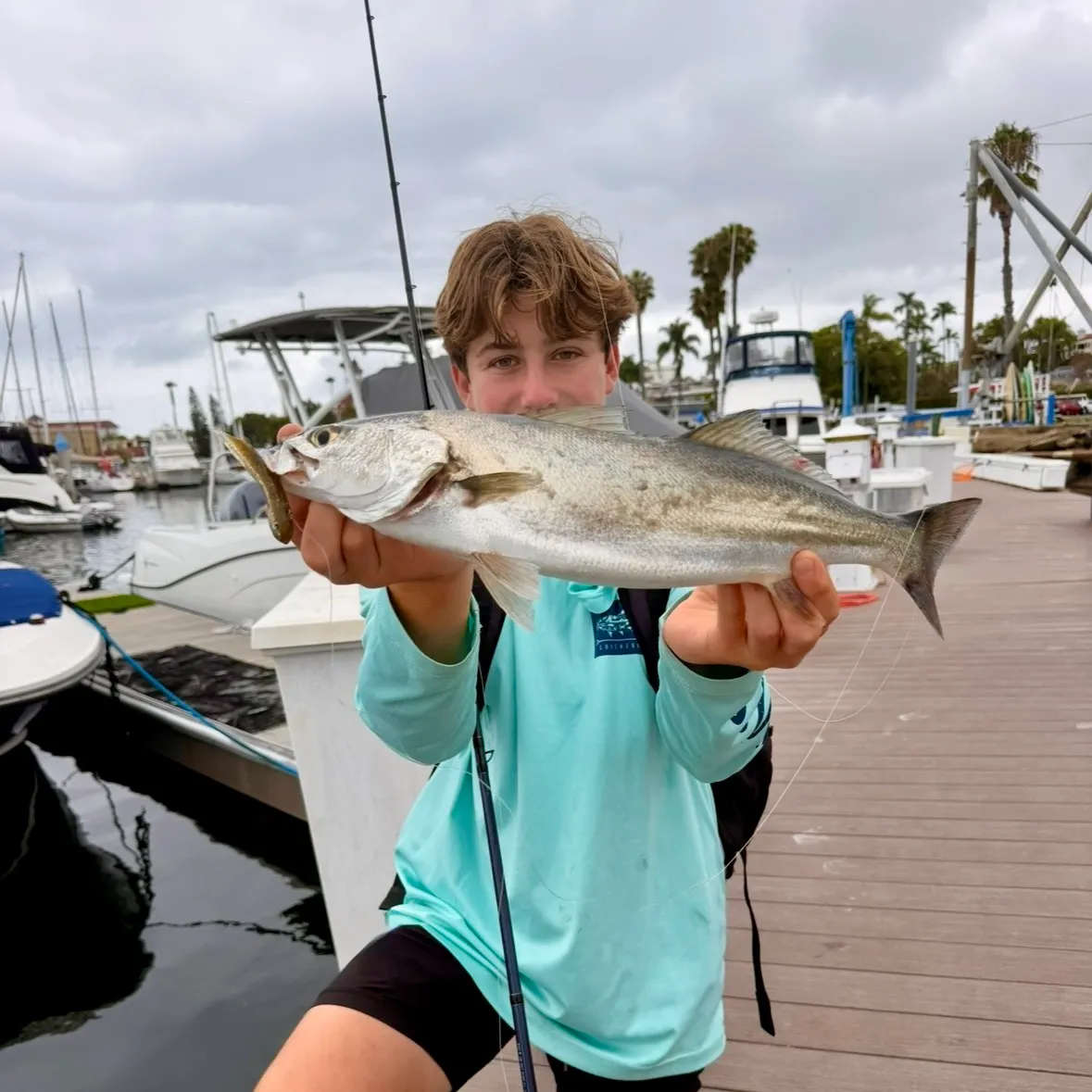 The most recent Shortfin corvina catches on Fishbrain