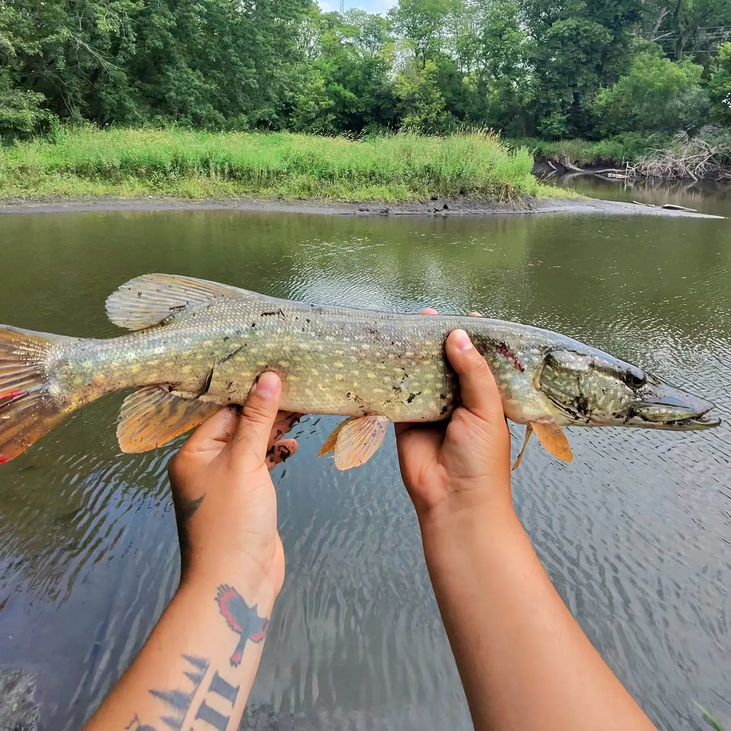 catch