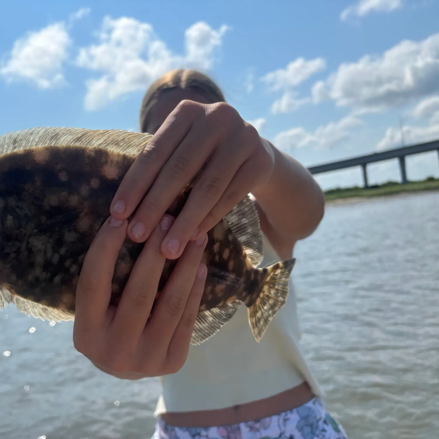 The most recent Summer flounder catches on Fishbrain