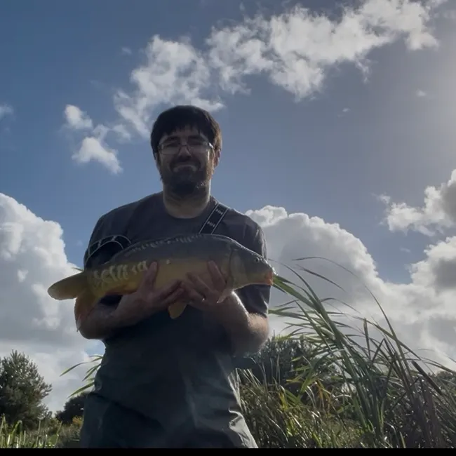 Mirror carp caught on Fishbrain