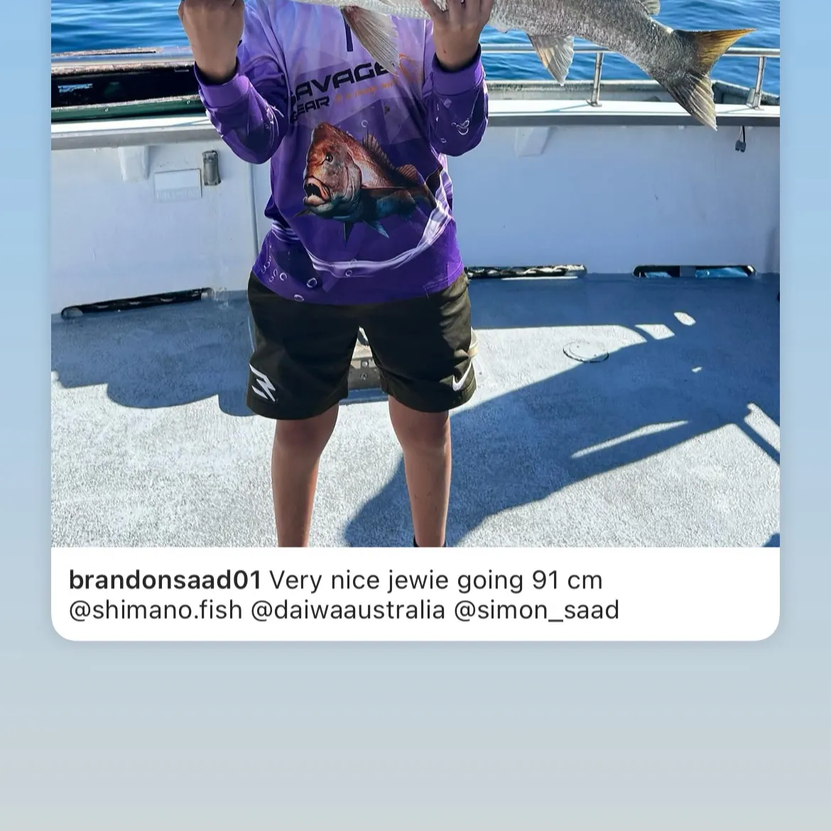 The most recent Japanese meagre catches on Fishbrain