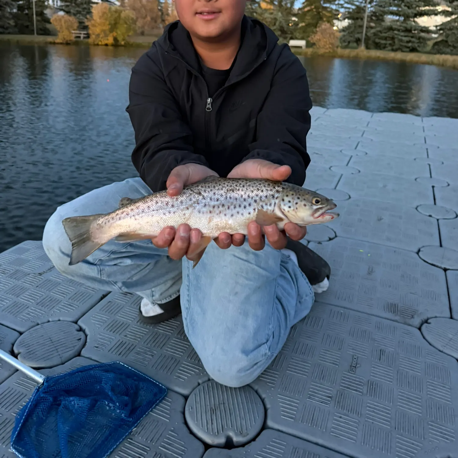 Brown trout caught on Fishbrain