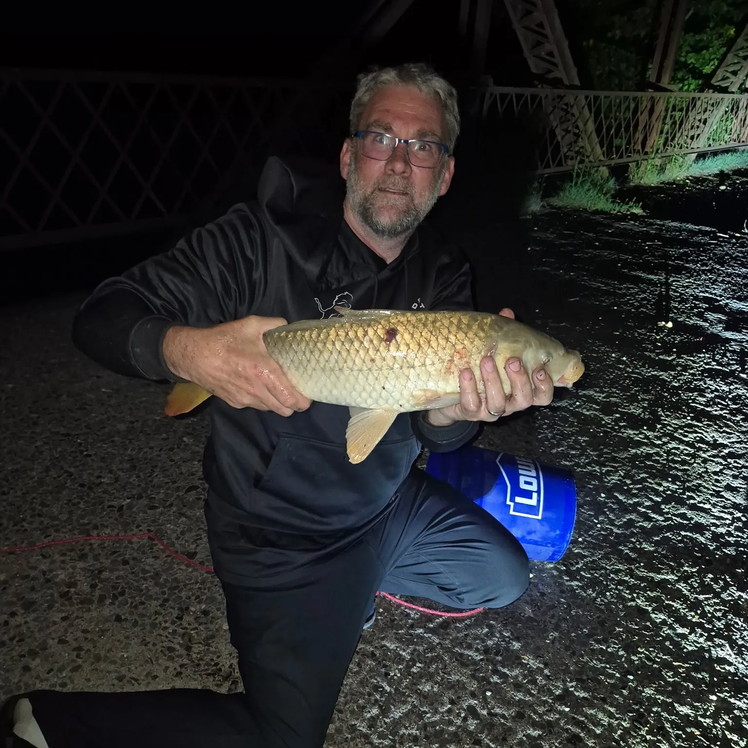 Common carp caught on Fishbrain