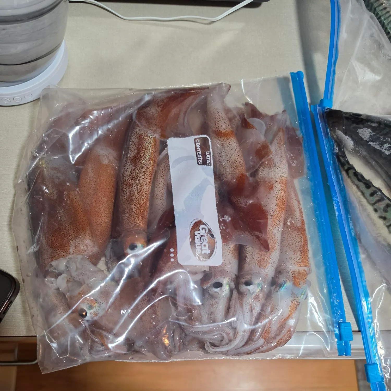 The most recent Northern shortfin squid catches on Fishbrain
