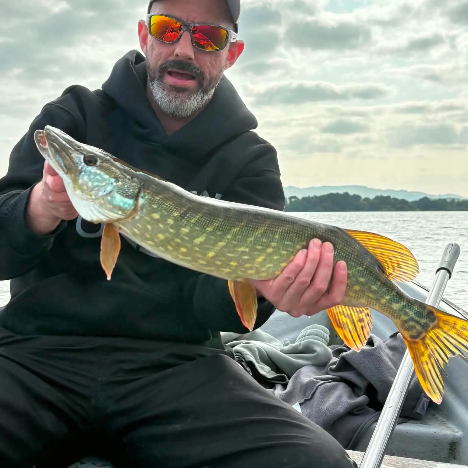 Northern pike caught on Fishbrain