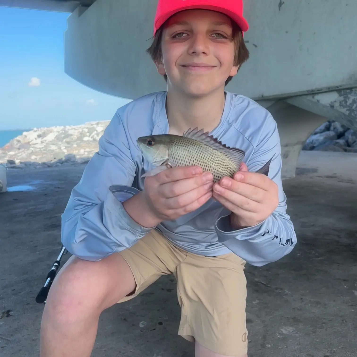 The most recent Mahogany snapper catches on Fishbrain