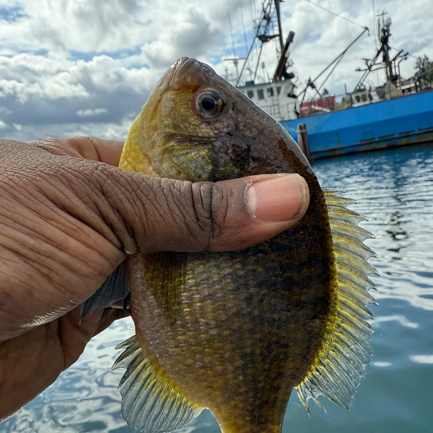 catch