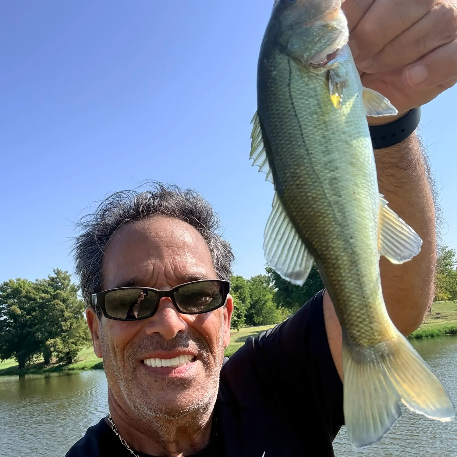 Largemouth bass caught on Fishbrain