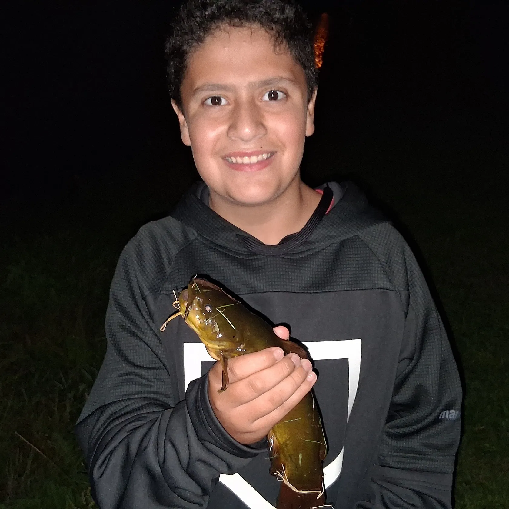 Yellow bullhead caught on Fishbrain