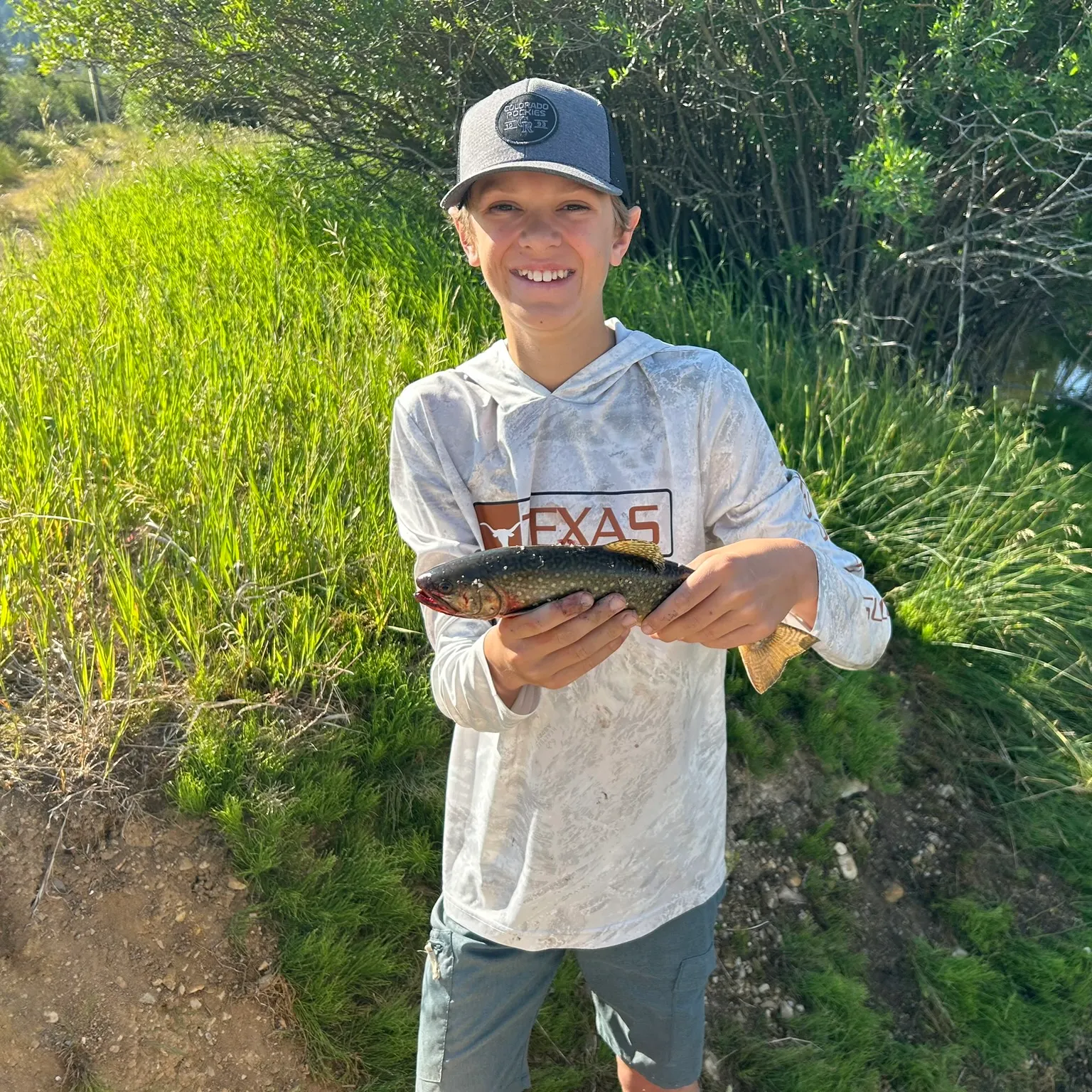 The most recent Cutthroat trout catches on Fishbrain