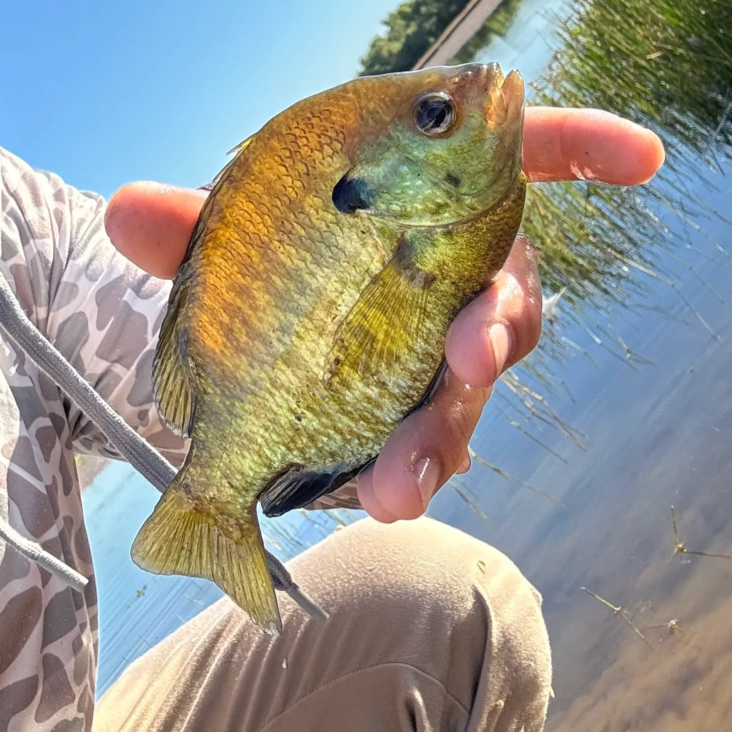 catch