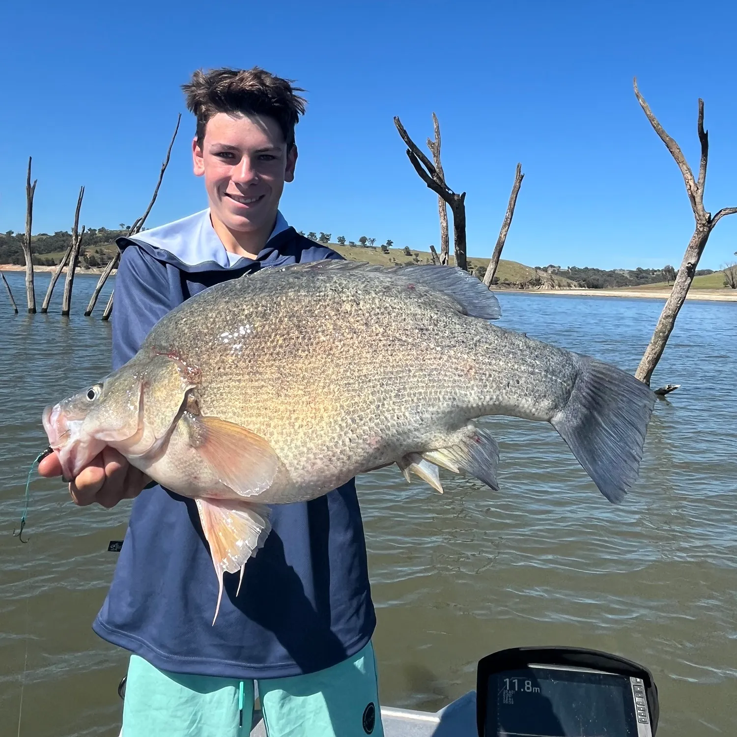 The most recent Golden perch catches on Fishbrain