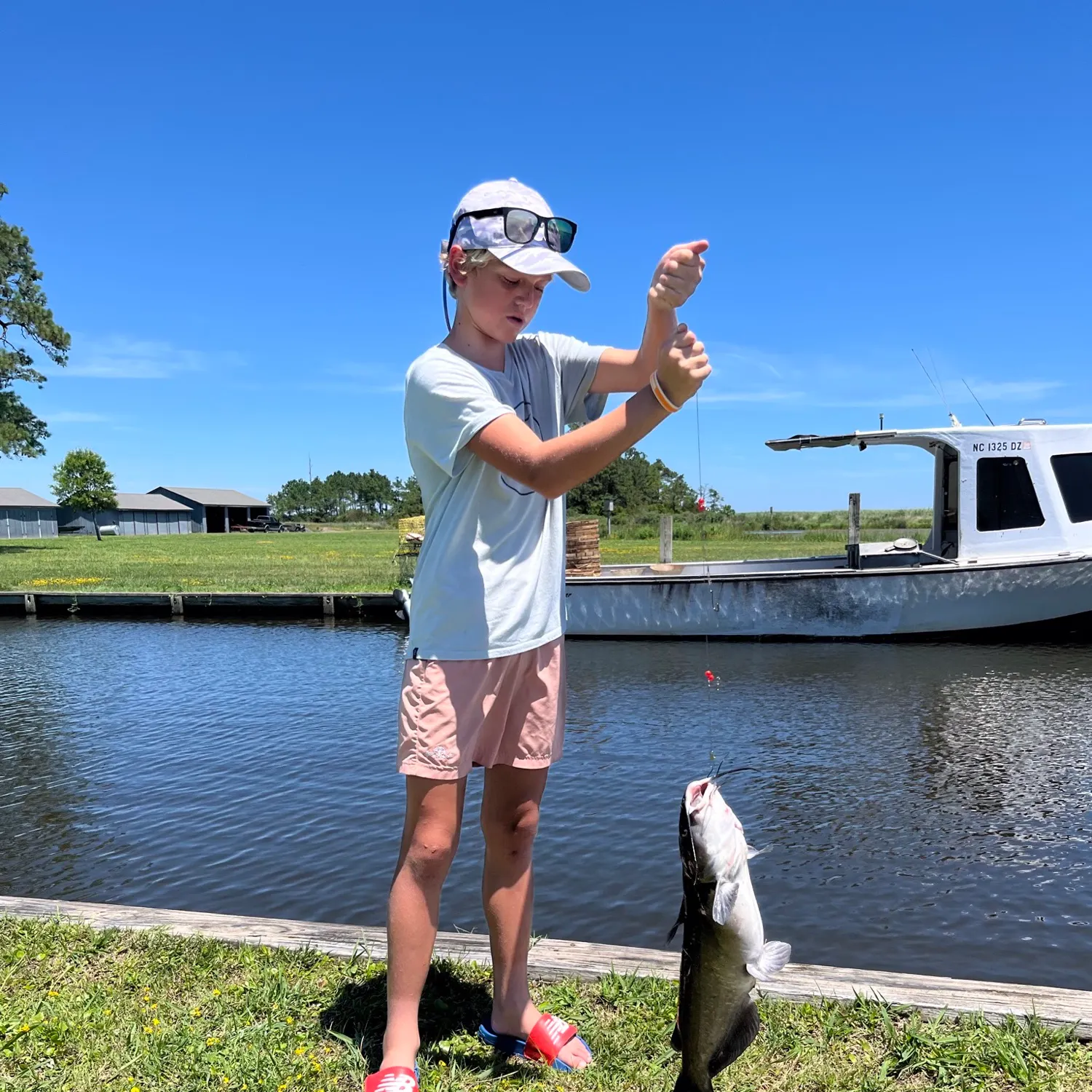Channel catfish caught on Fishbrain