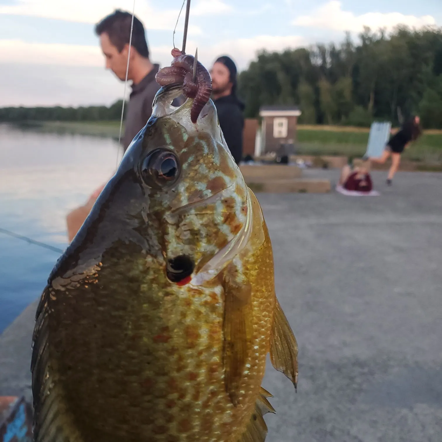 catch
