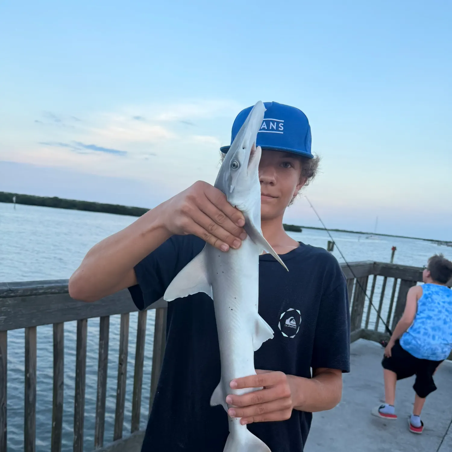 The most recent Bonnethead shark catches on Fishbrain