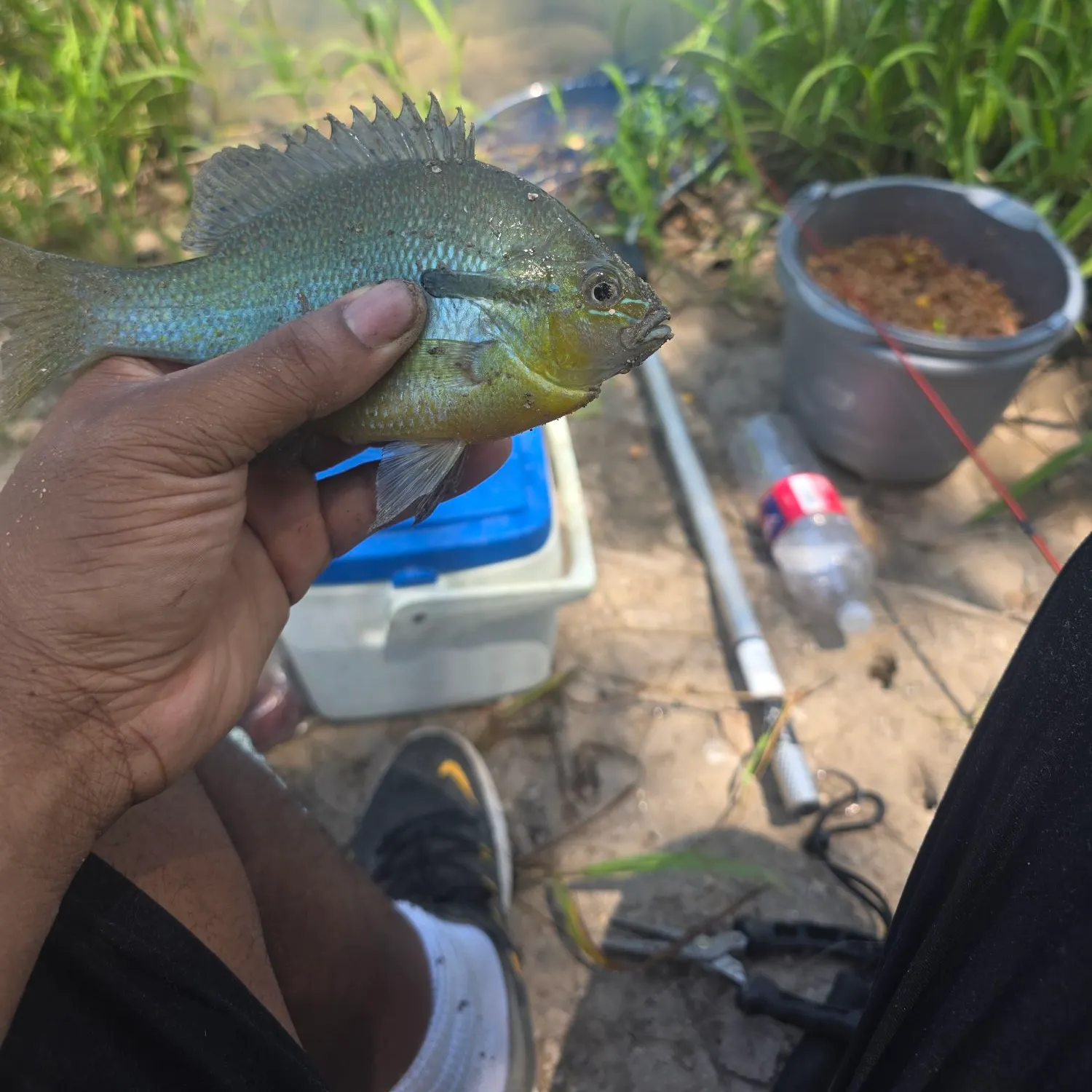catch