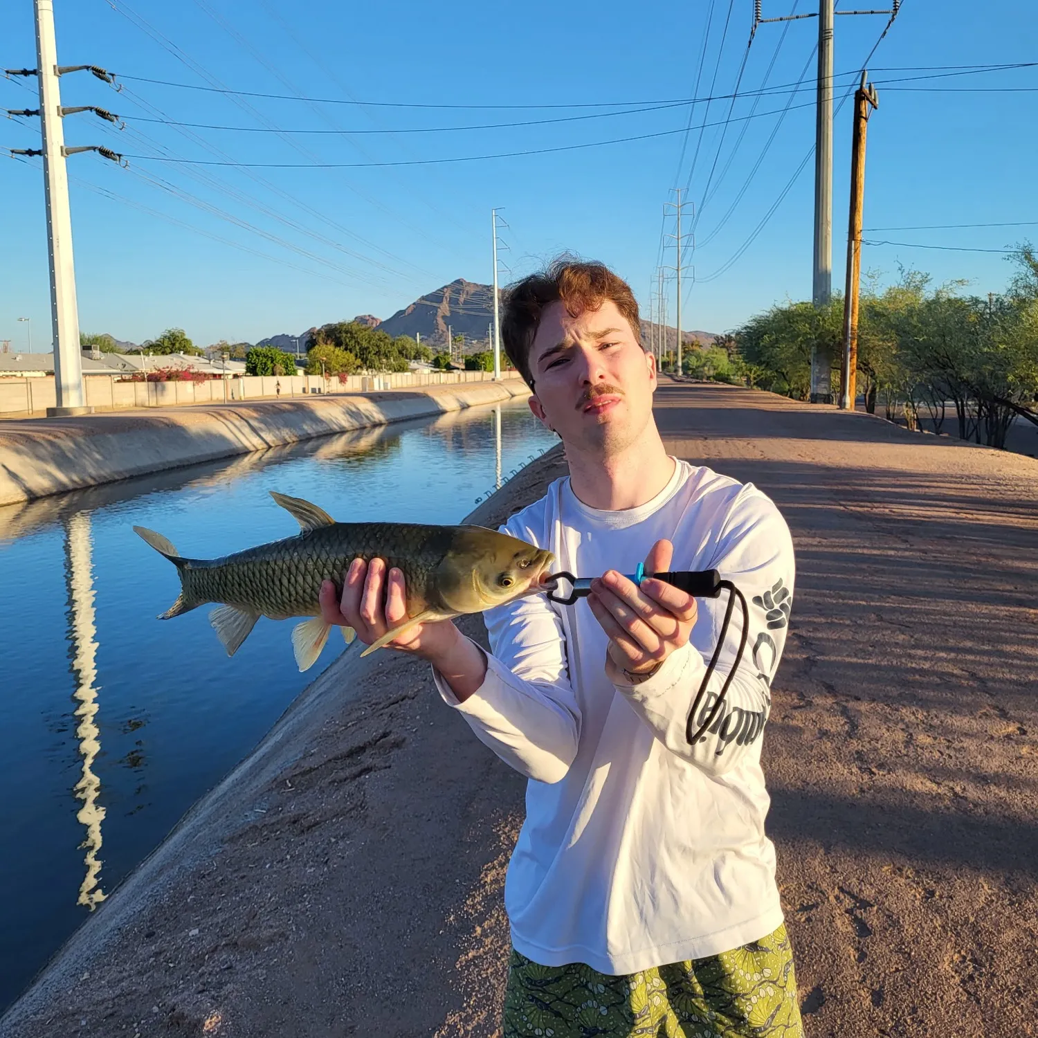 Grass carp caught on Fishbrain