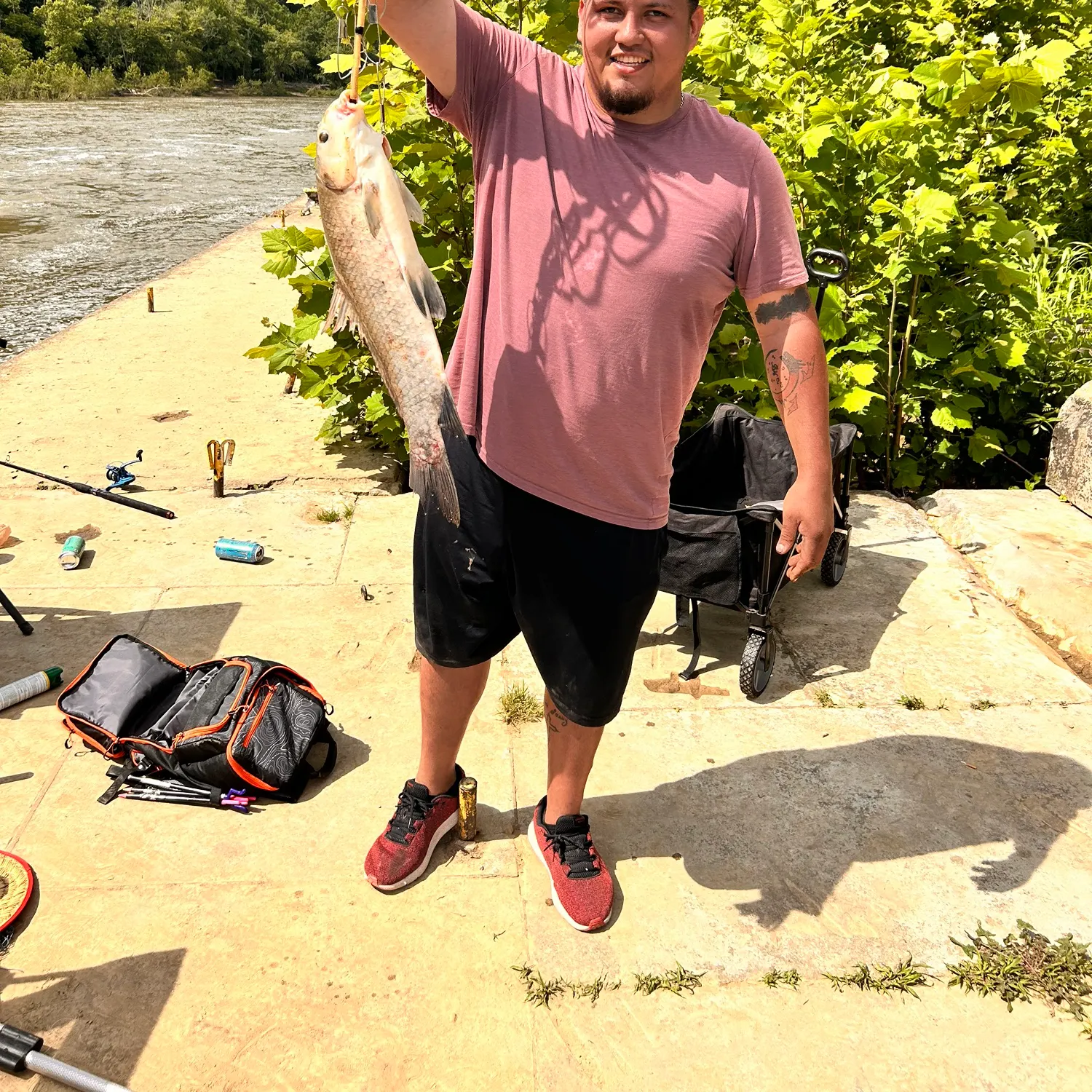 recently logged catches