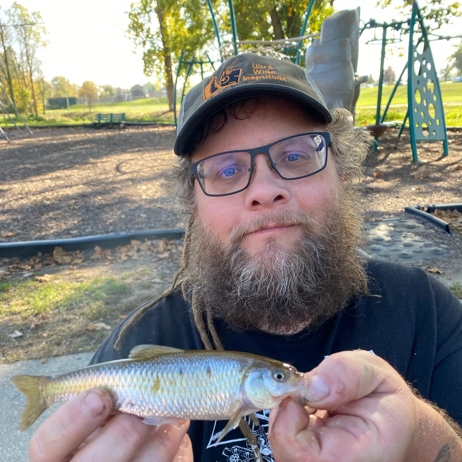 Striped shiner caught on Fishbrain
