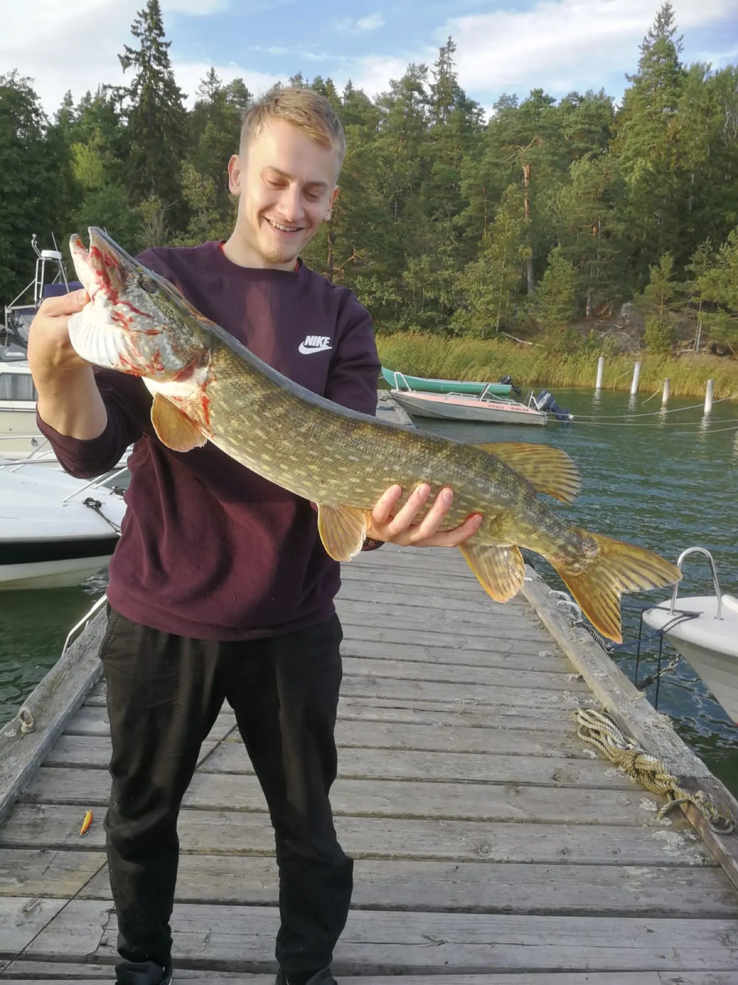 Post image from denismedvedevs