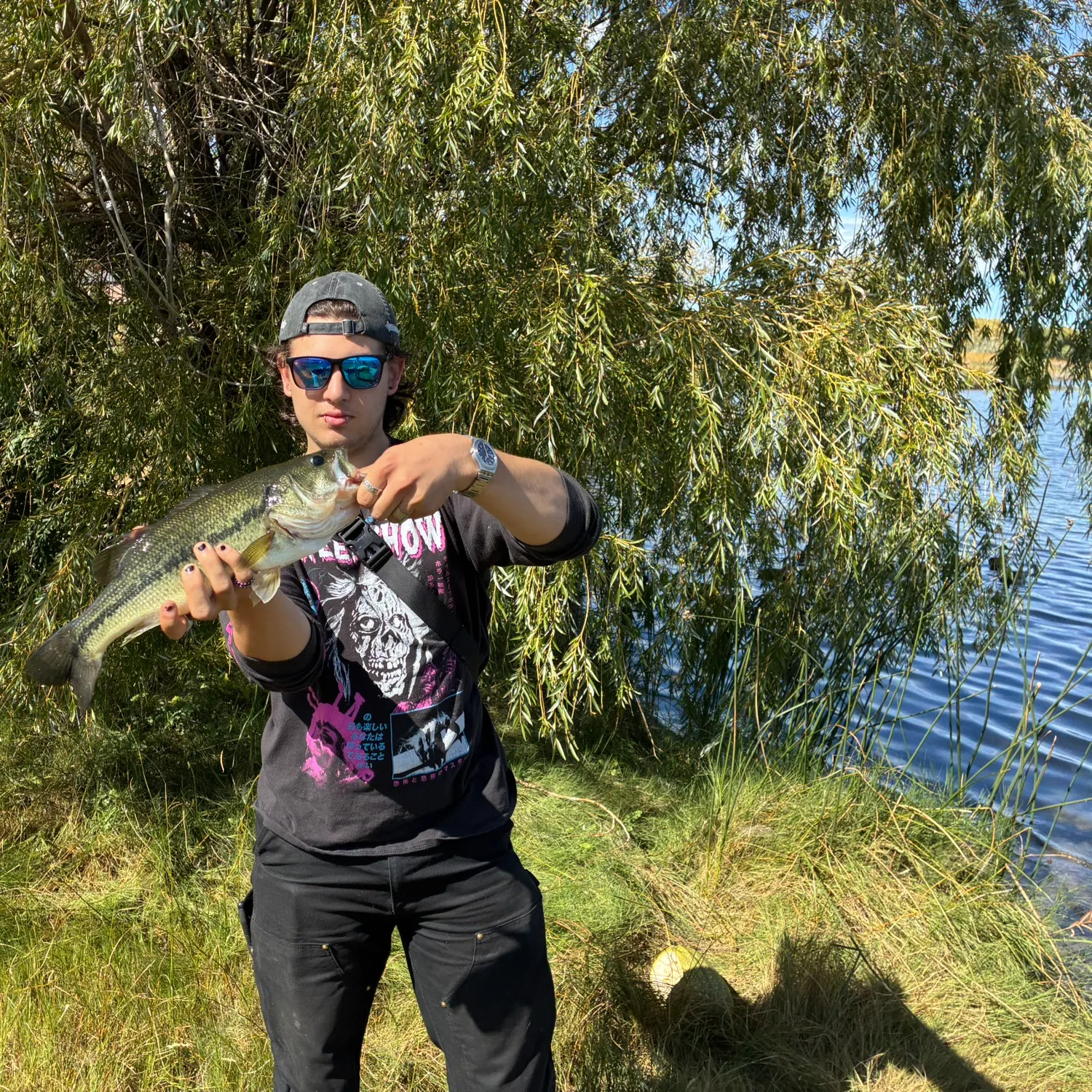 Largemouth bass caught on Fishbrain