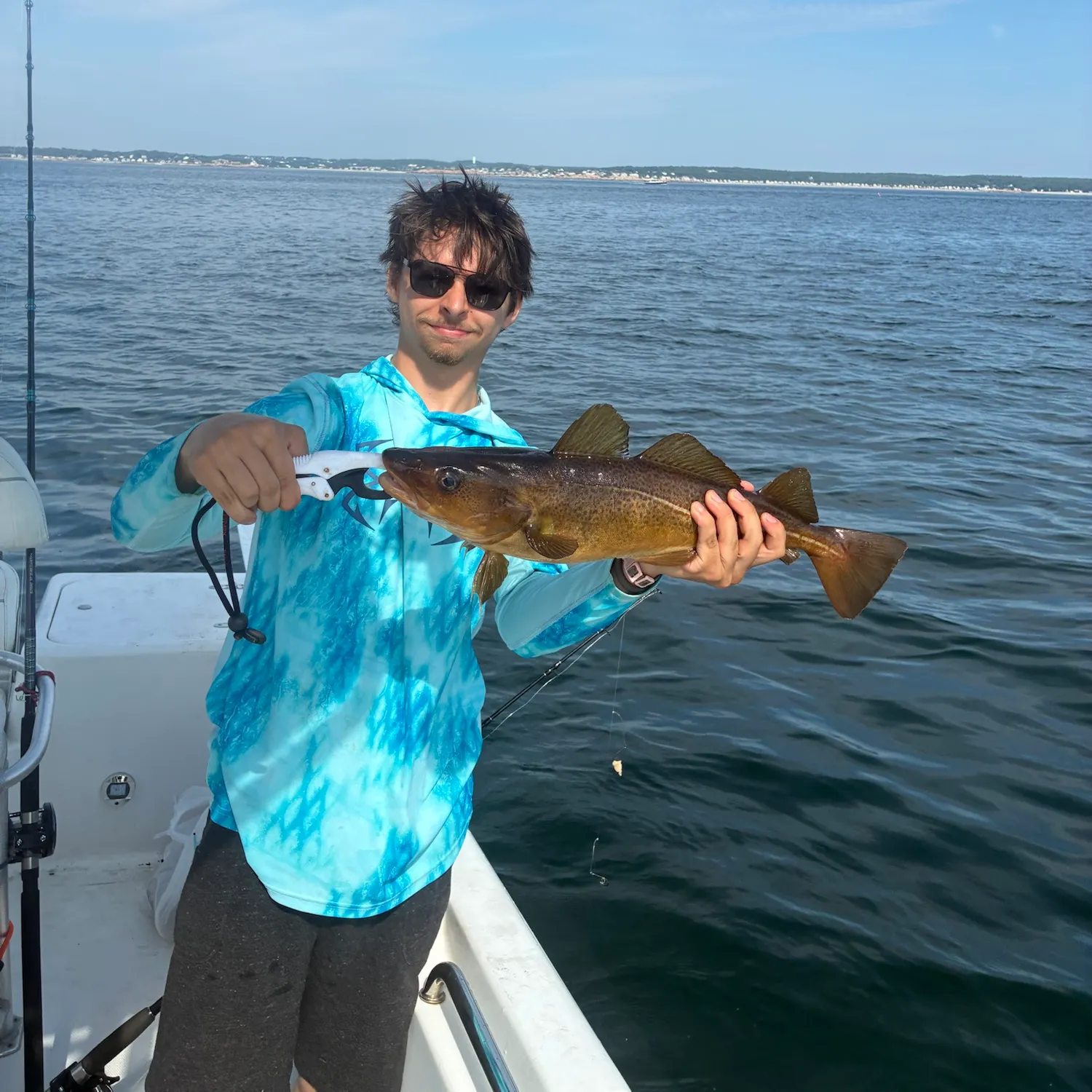 Atlantic cod caught on Fishbrain