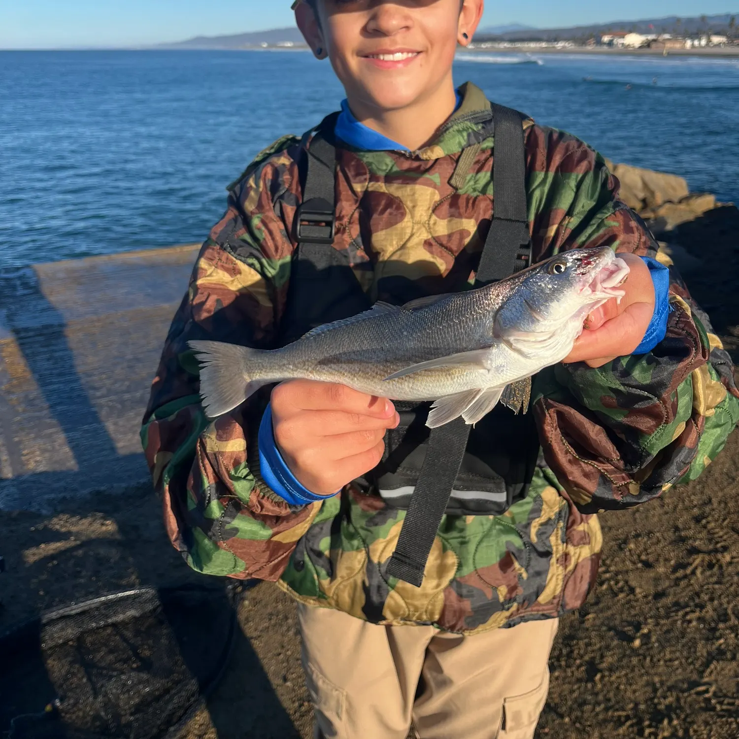 The most recent California corbina catches on Fishbrain