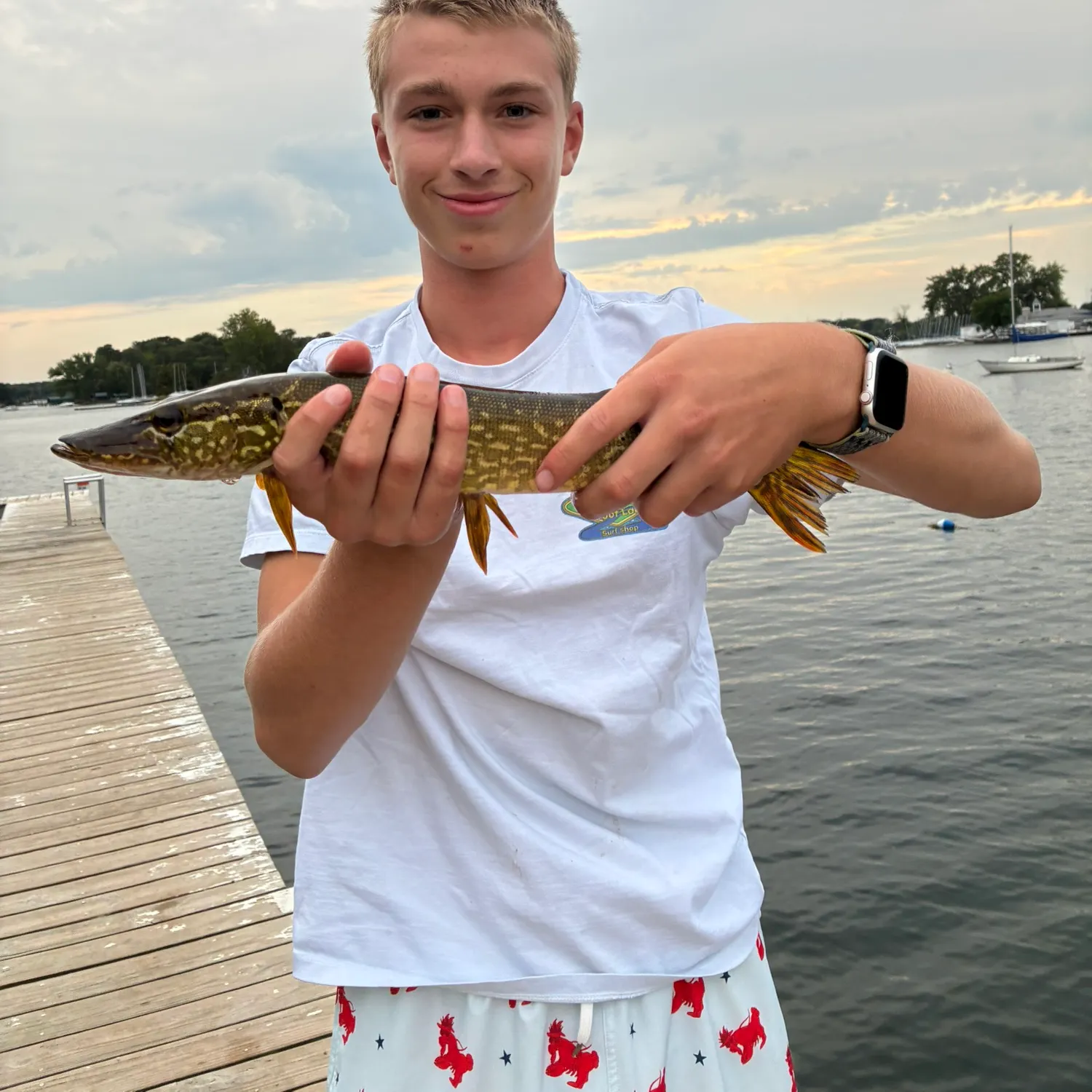Northern pike caught on Fishbrain