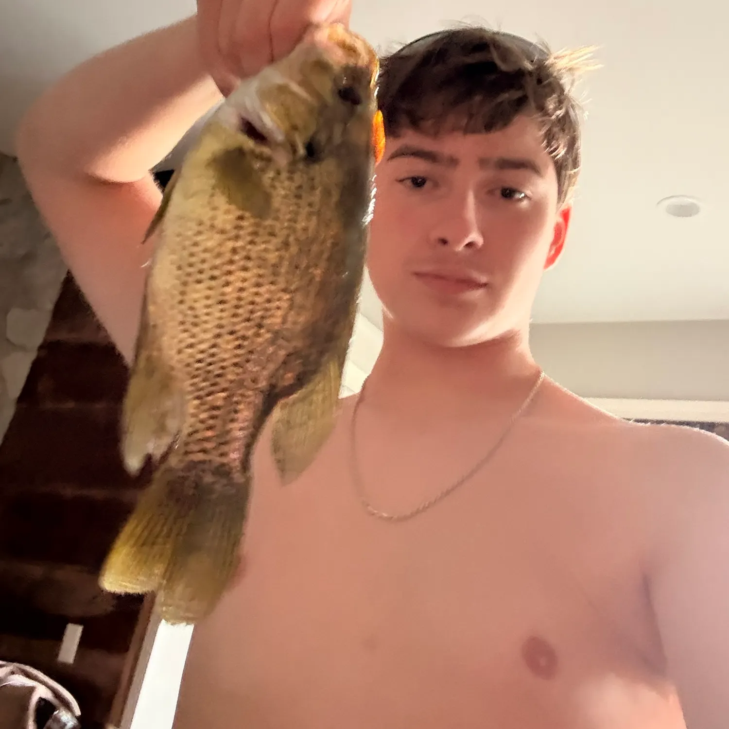 Rock bass caught on Fishbrain
