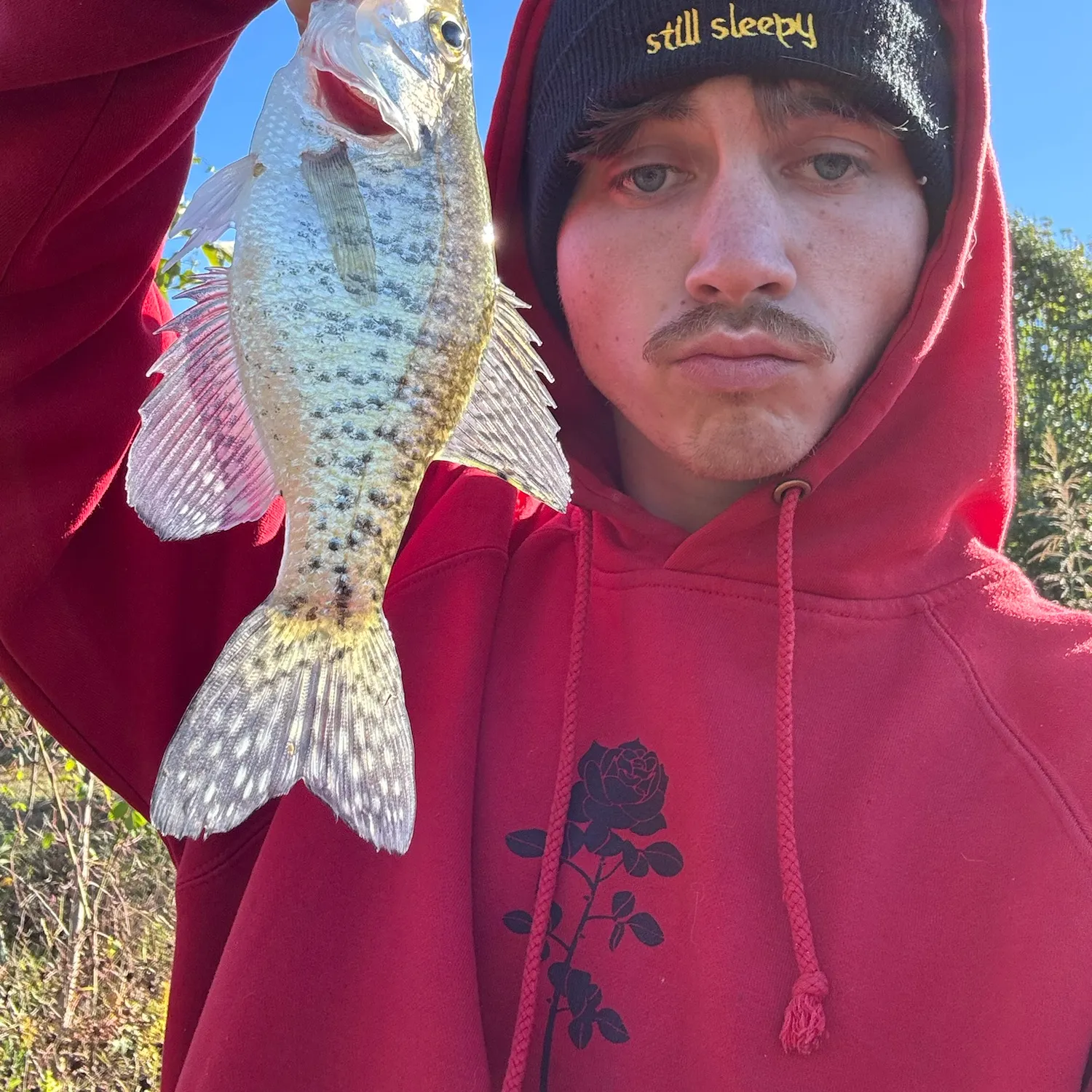 White crappie caught on Fishbrain