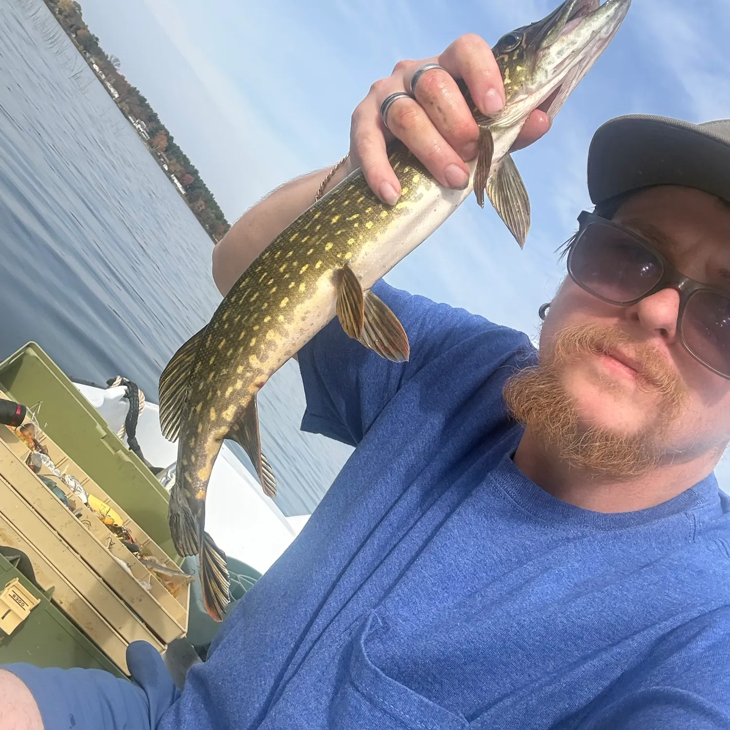 Northern pike caught on Fishbrain