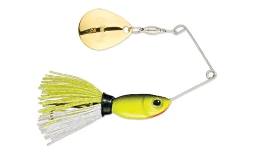 Rocket Shad