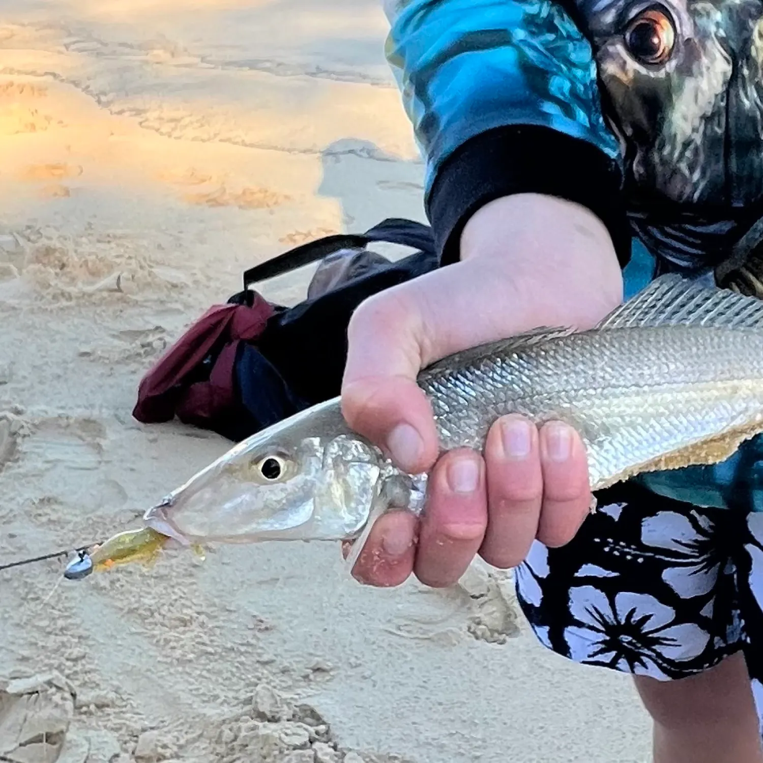 The most recent Sand sillago catches on Fishbrain