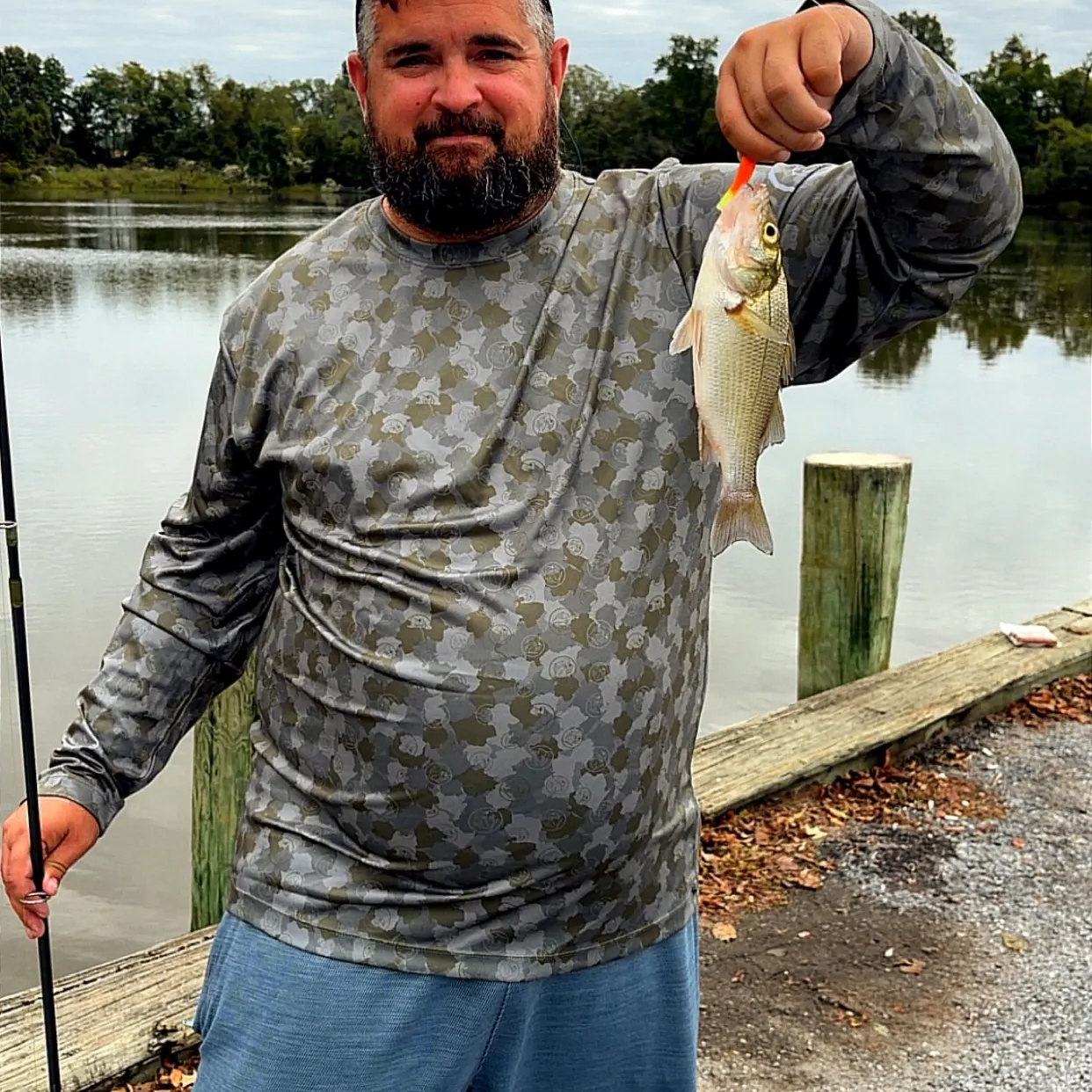 White perch caught on Fishbrain